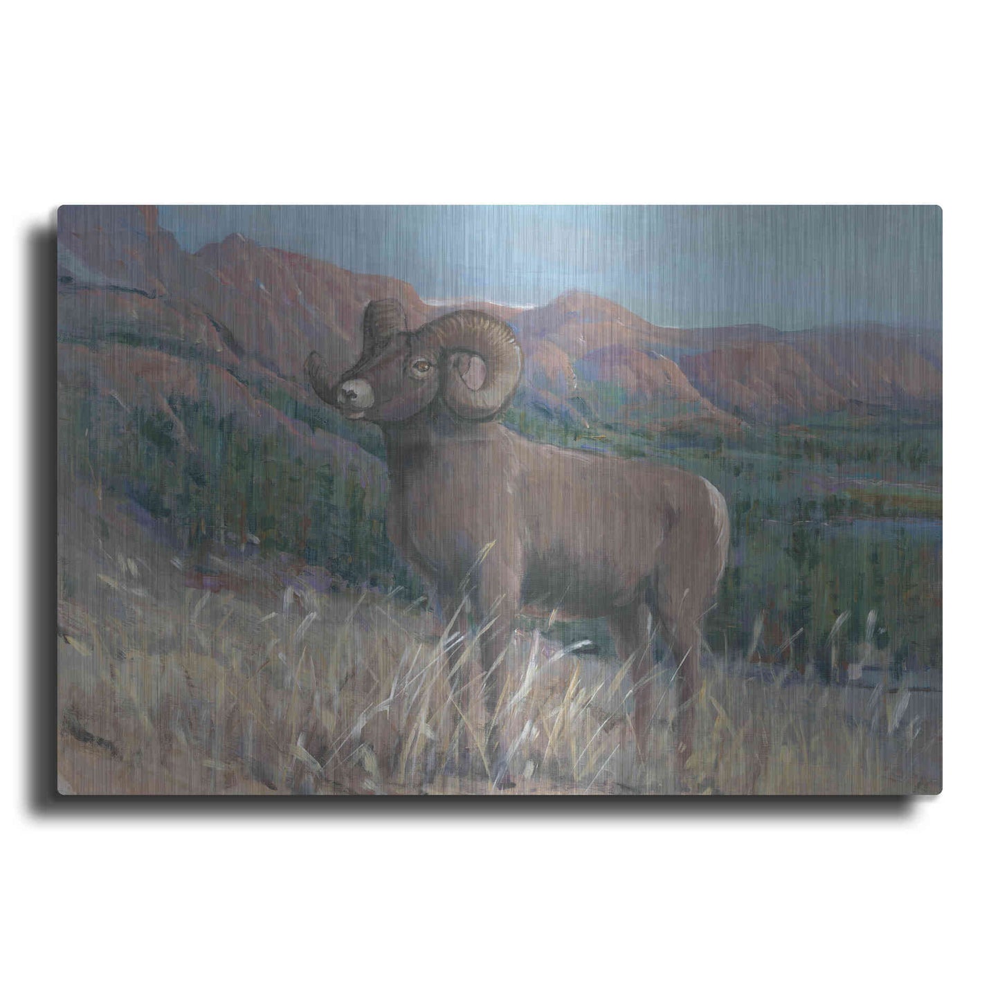 Luxe Metal Art 'Animals of the West IV' by Tim O'Toole, Metal Wall Art