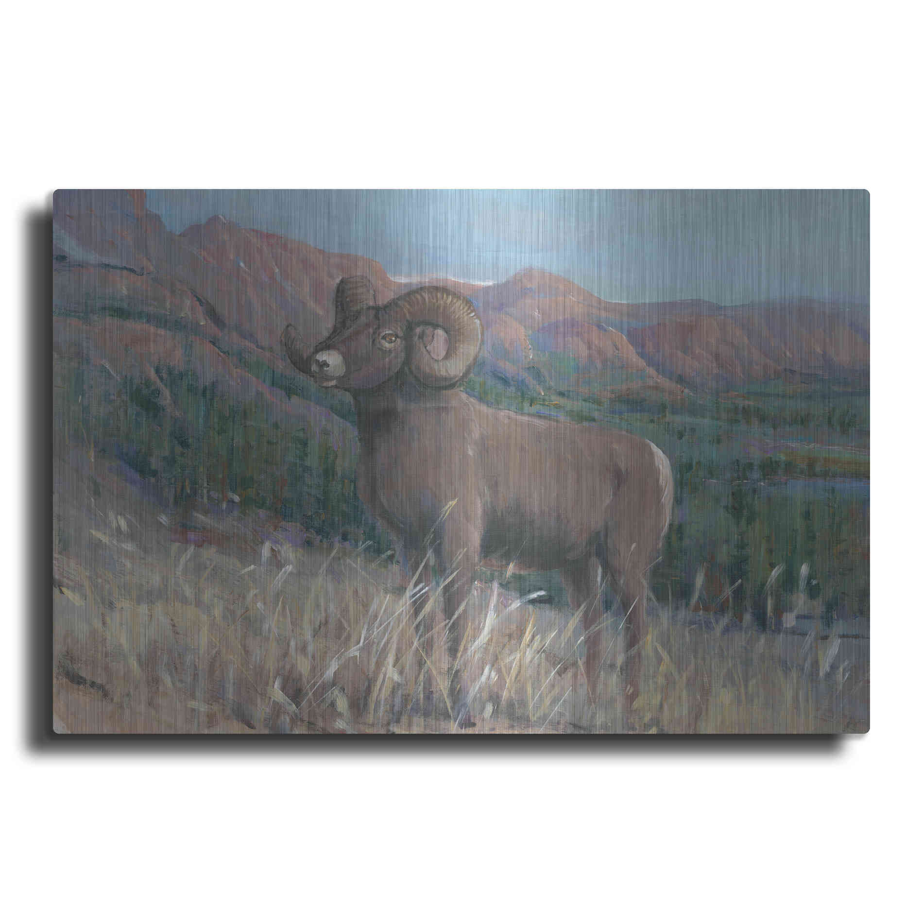 Luxe Metal Art 'Animals of the West IV' by Tim O'Toole, Metal Wall Art