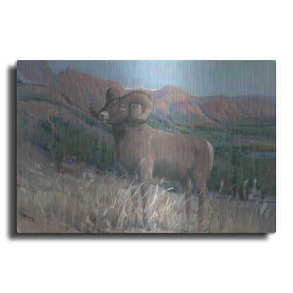 Luxe Metal Art 'Animals of the West IV' by Tim O'Toole, Metal Wall Art
