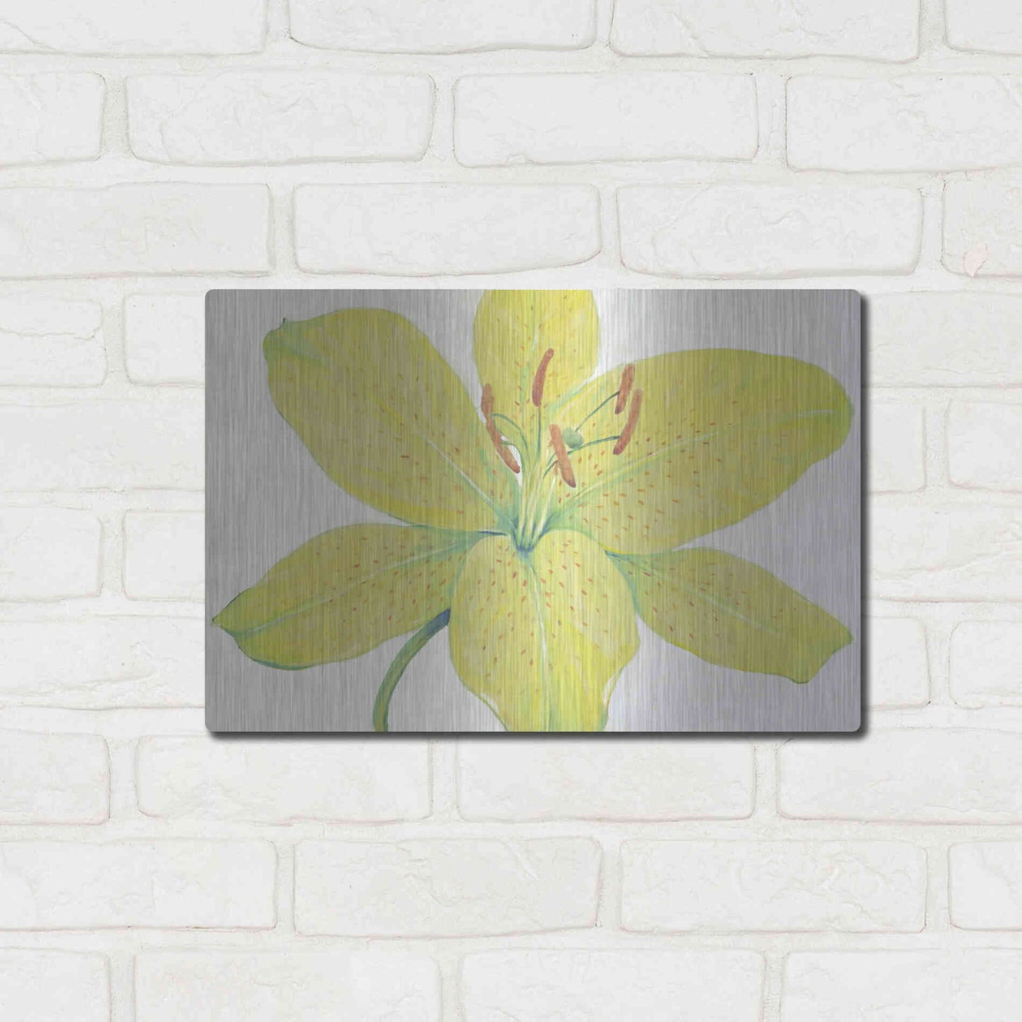 Luxe Metal Art 'Citron Tiger Lily I' by Tim O'Toole, Metal Wall Art,16x12