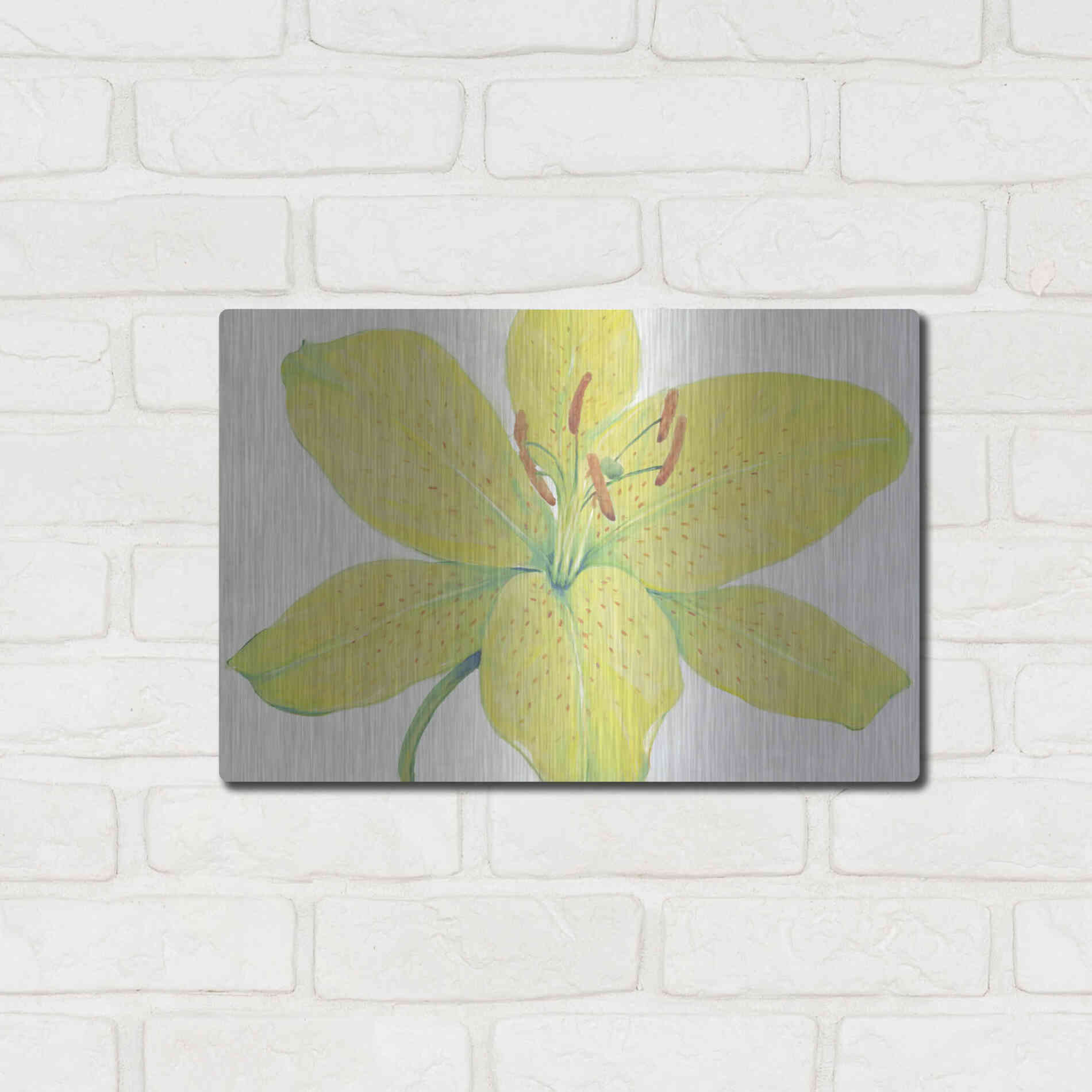 Luxe Metal Art 'Citron Tiger Lily I' by Tim O'Toole, Metal Wall Art,16x12