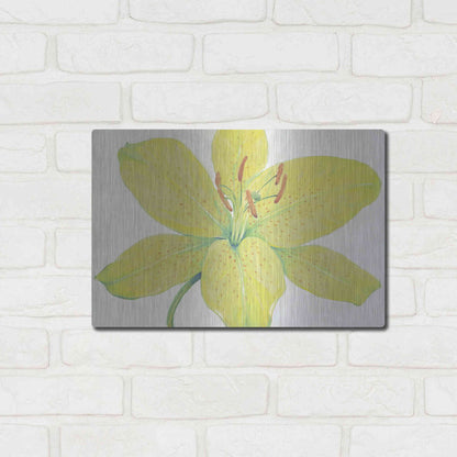 Luxe Metal Art 'Citron Tiger Lily I' by Tim O'Toole, Metal Wall Art,16x12