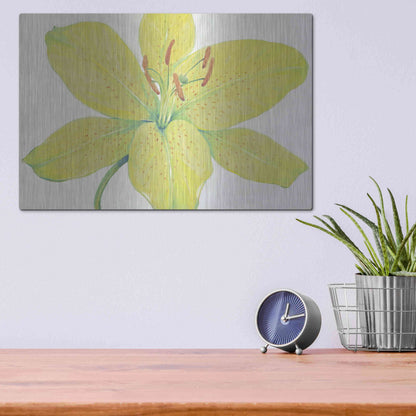 Luxe Metal Art 'Citron Tiger Lily I' by Tim O'Toole, Metal Wall Art,16x12