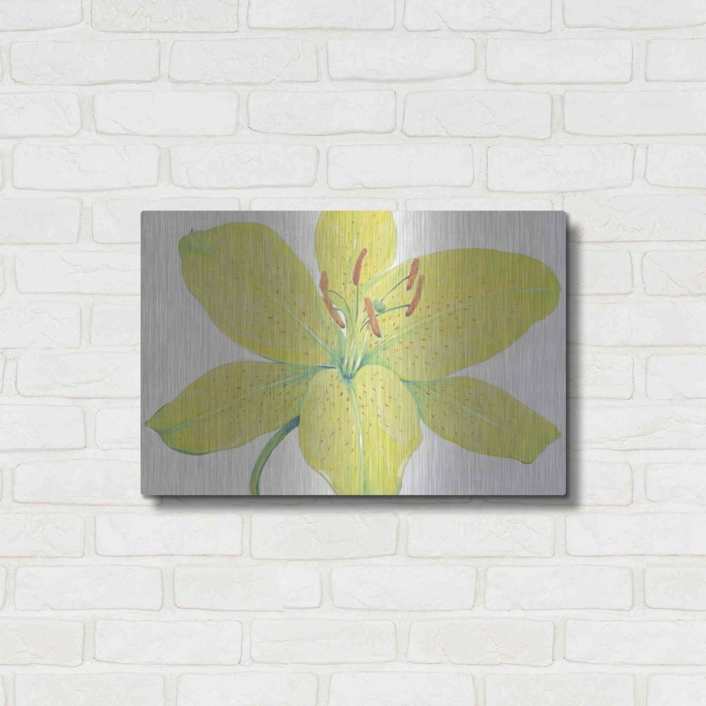 Luxe Metal Art 'Citron Tiger Lily I' by Tim O'Toole, Metal Wall Art,24x16