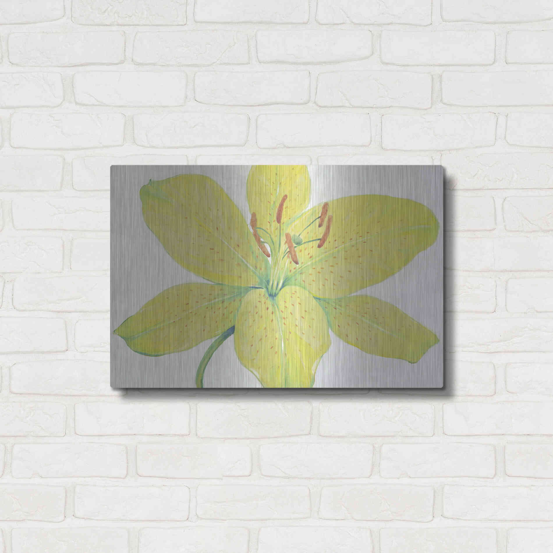 Luxe Metal Art 'Citron Tiger Lily I' by Tim O'Toole, Metal Wall Art,24x16