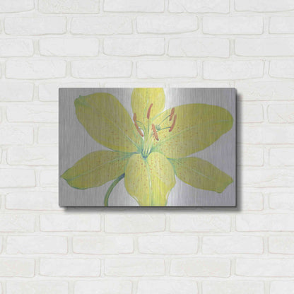 Luxe Metal Art 'Citron Tiger Lily I' by Tim O'Toole, Metal Wall Art,24x16