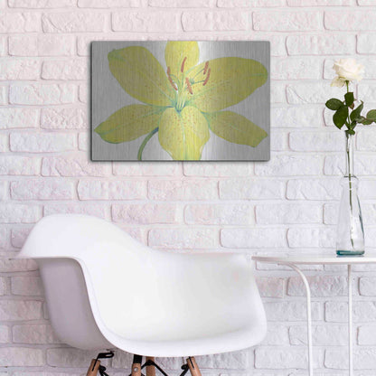 Luxe Metal Art 'Citron Tiger Lily I' by Tim O'Toole, Metal Wall Art,24x16
