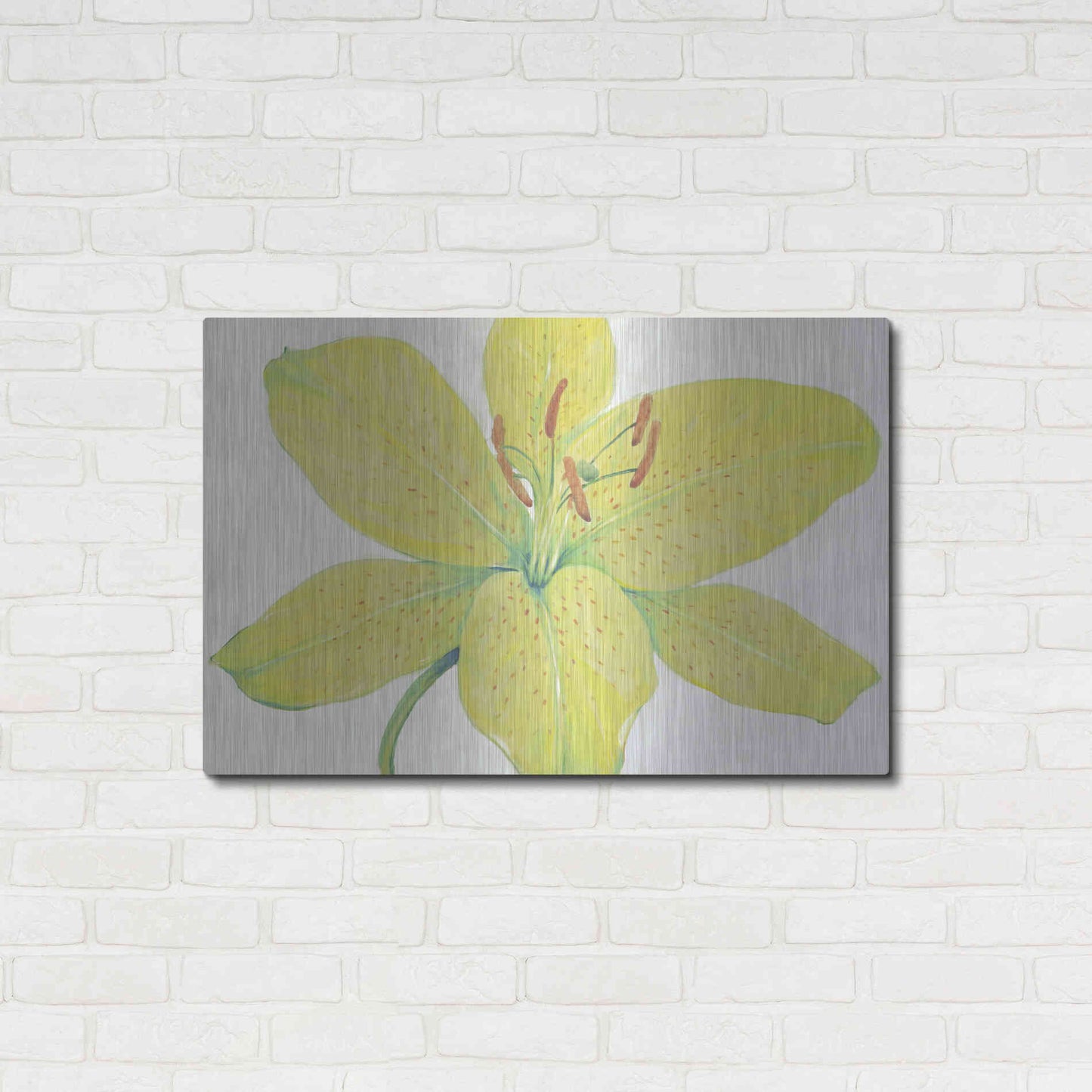 Luxe Metal Art 'Citron Tiger Lily I' by Tim O'Toole, Metal Wall Art,36x24