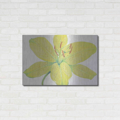Luxe Metal Art 'Citron Tiger Lily I' by Tim O'Toole, Metal Wall Art,36x24
