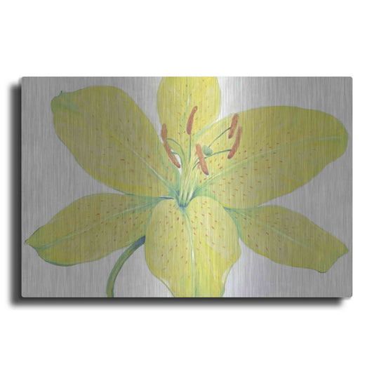 Luxe Metal Art 'Citron Tiger Lily I' by Tim O'Toole, Metal Wall Art