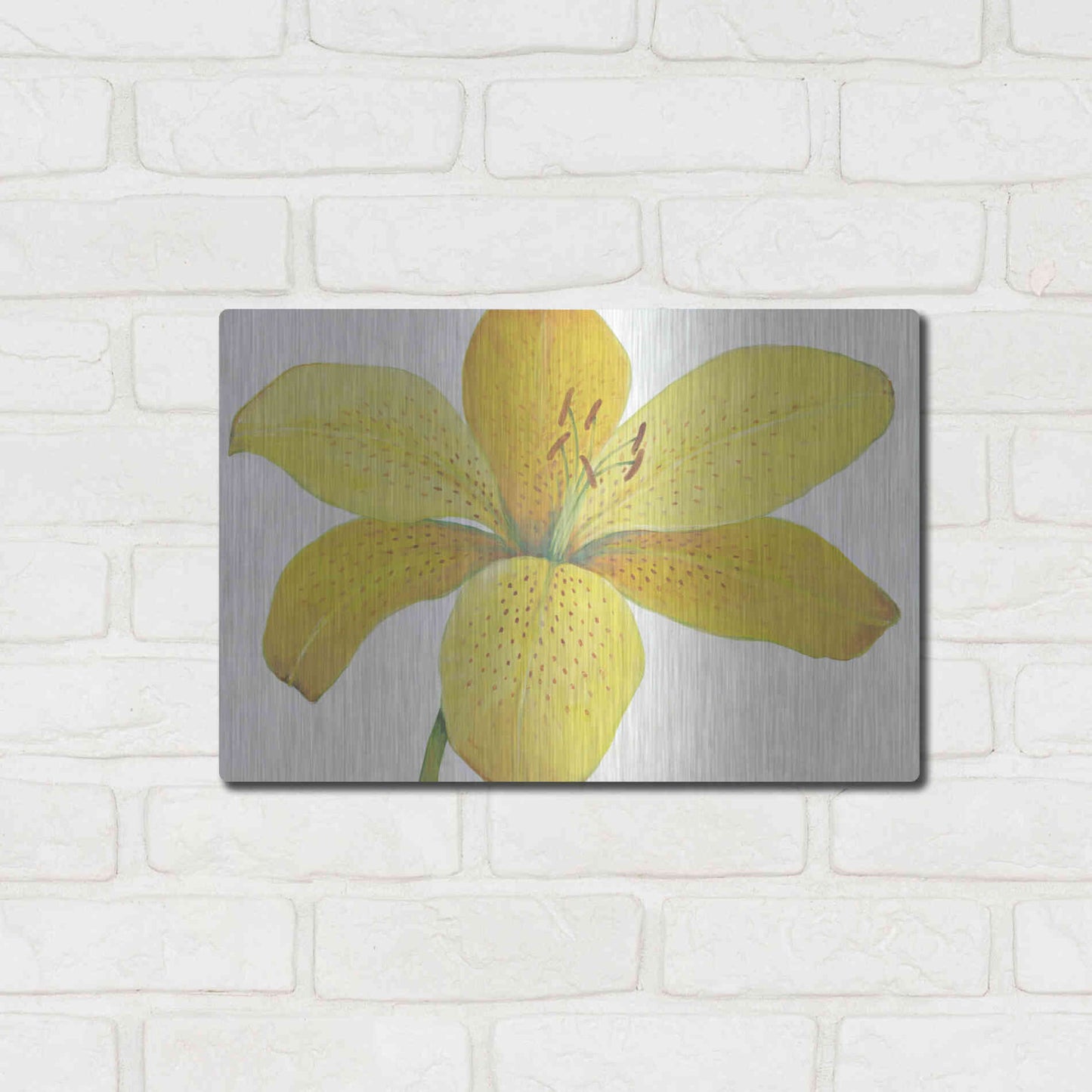 Luxe Metal Art 'Citron Tiger Lily II' by Tim O'Toole, Metal Wall Art,16x12