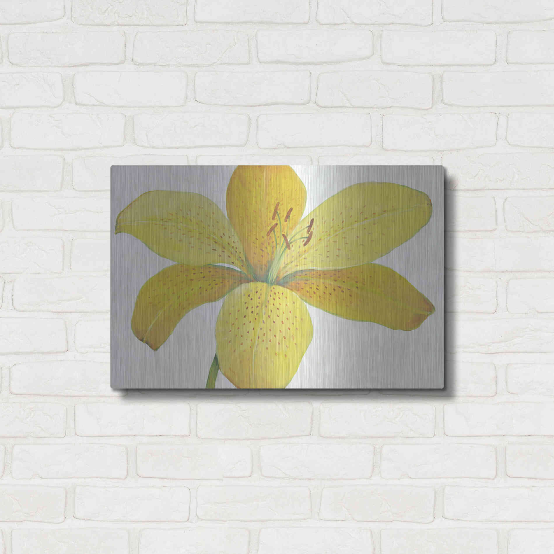 Luxe Metal Art 'Citron Tiger Lily II' by Tim O'Toole, Metal Wall Art,24x16