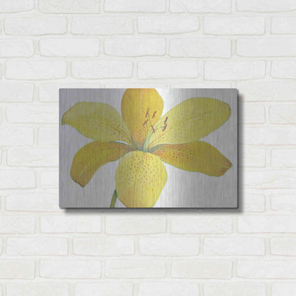 Luxe Metal Art 'Citron Tiger Lily II' by Tim O'Toole, Metal Wall Art,24x16