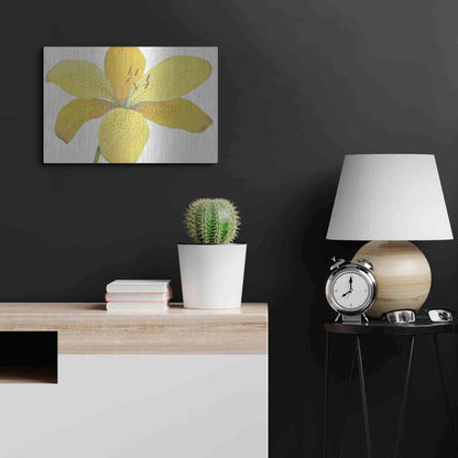 Luxe Metal Art 'Citron Tiger Lily II' by Tim O'Toole, Metal Wall Art,24x16