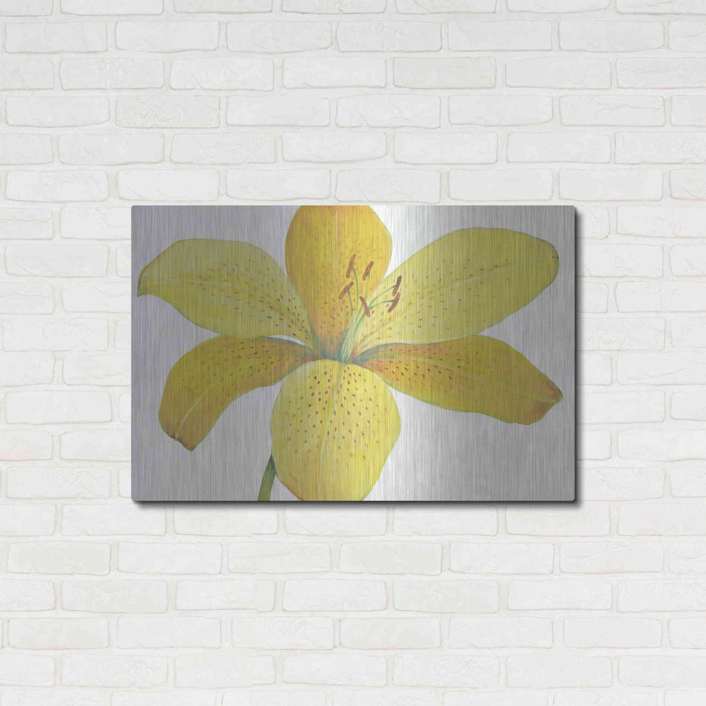 Luxe Metal Art 'Citron Tiger Lily II' by Tim O'Toole, Metal Wall Art,36x24