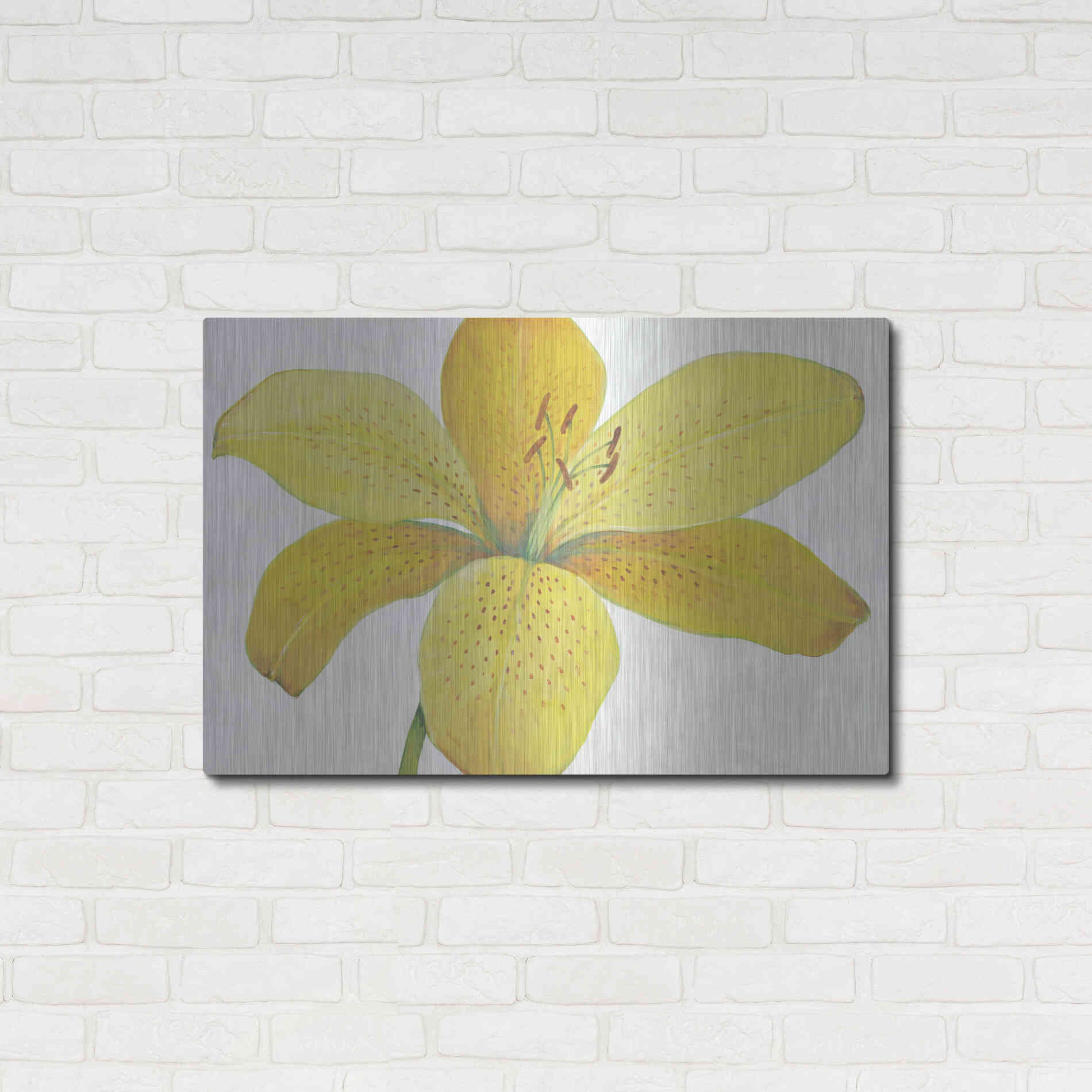 Luxe Metal Art 'Citron Tiger Lily II' by Tim O'Toole, Metal Wall Art,36x24