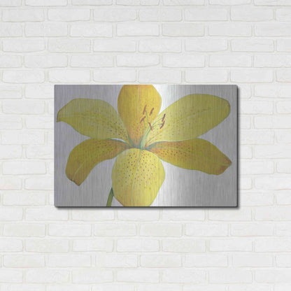 Luxe Metal Art 'Citron Tiger Lily II' by Tim O'Toole, Metal Wall Art,36x24