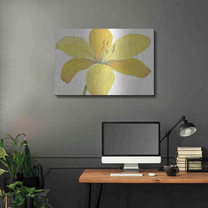 Luxe Metal Art 'Citron Tiger Lily II' by Tim O'Toole, Metal Wall Art,36x24