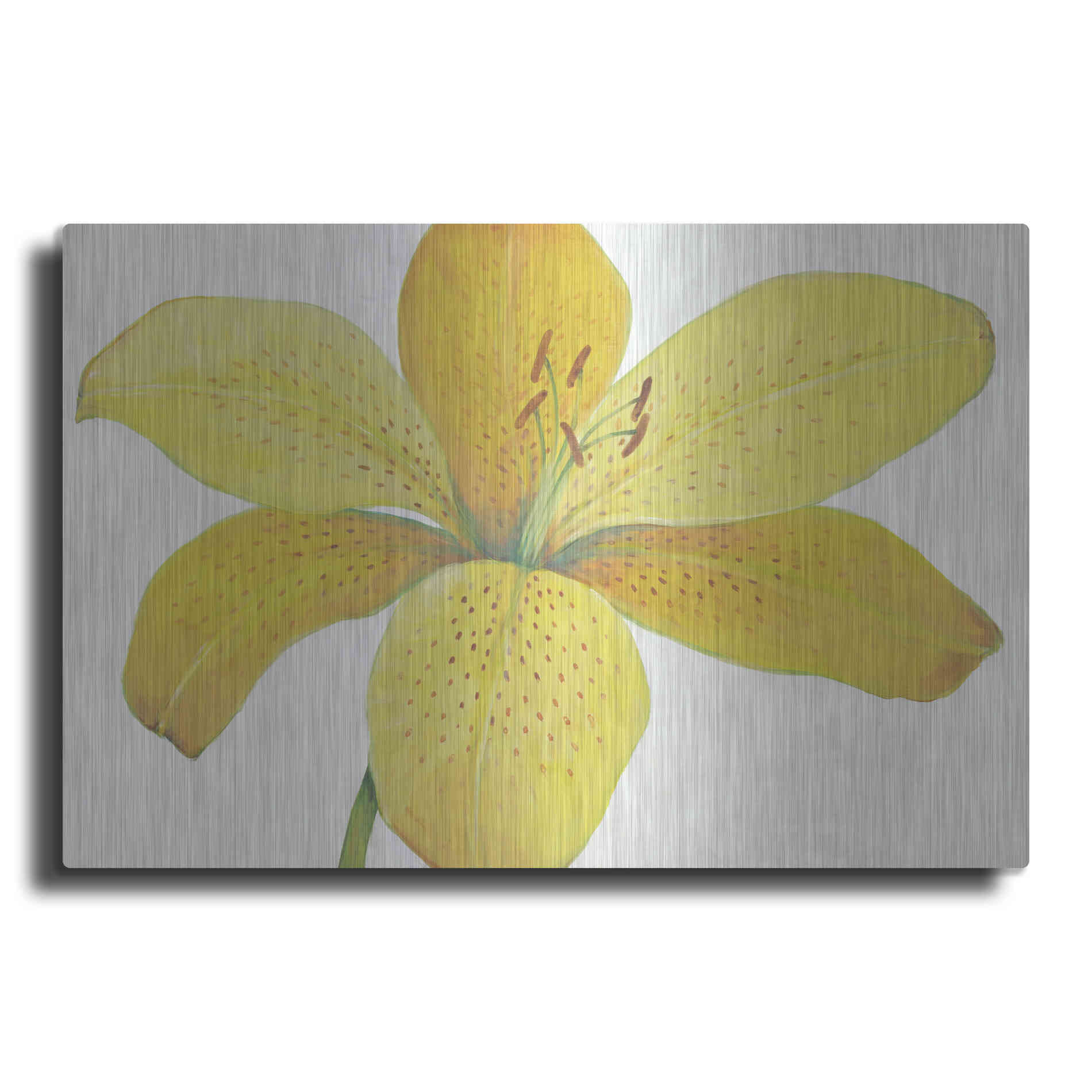 Luxe Metal Art 'Citron Tiger Lily II' by Tim O'Toole, Metal Wall Art