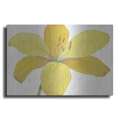 Luxe Metal Art 'Citron Tiger Lily II' by Tim O'Toole, Metal Wall Art