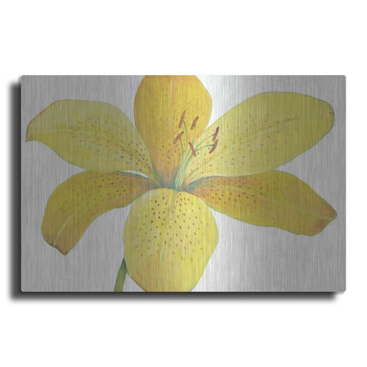Luxe Metal Art 'Citron Tiger Lily II' by Tim O'Toole, Metal Wall Art