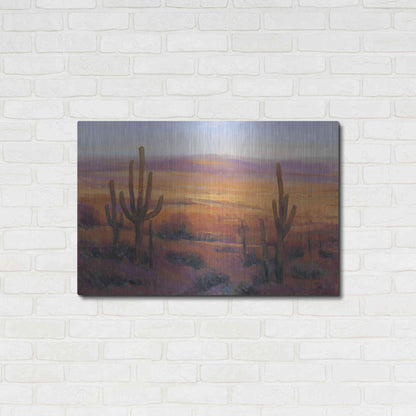 Luxe Metal Art 'Desert Light II' by Tim O'Toole, Metal Wall Art,36x24