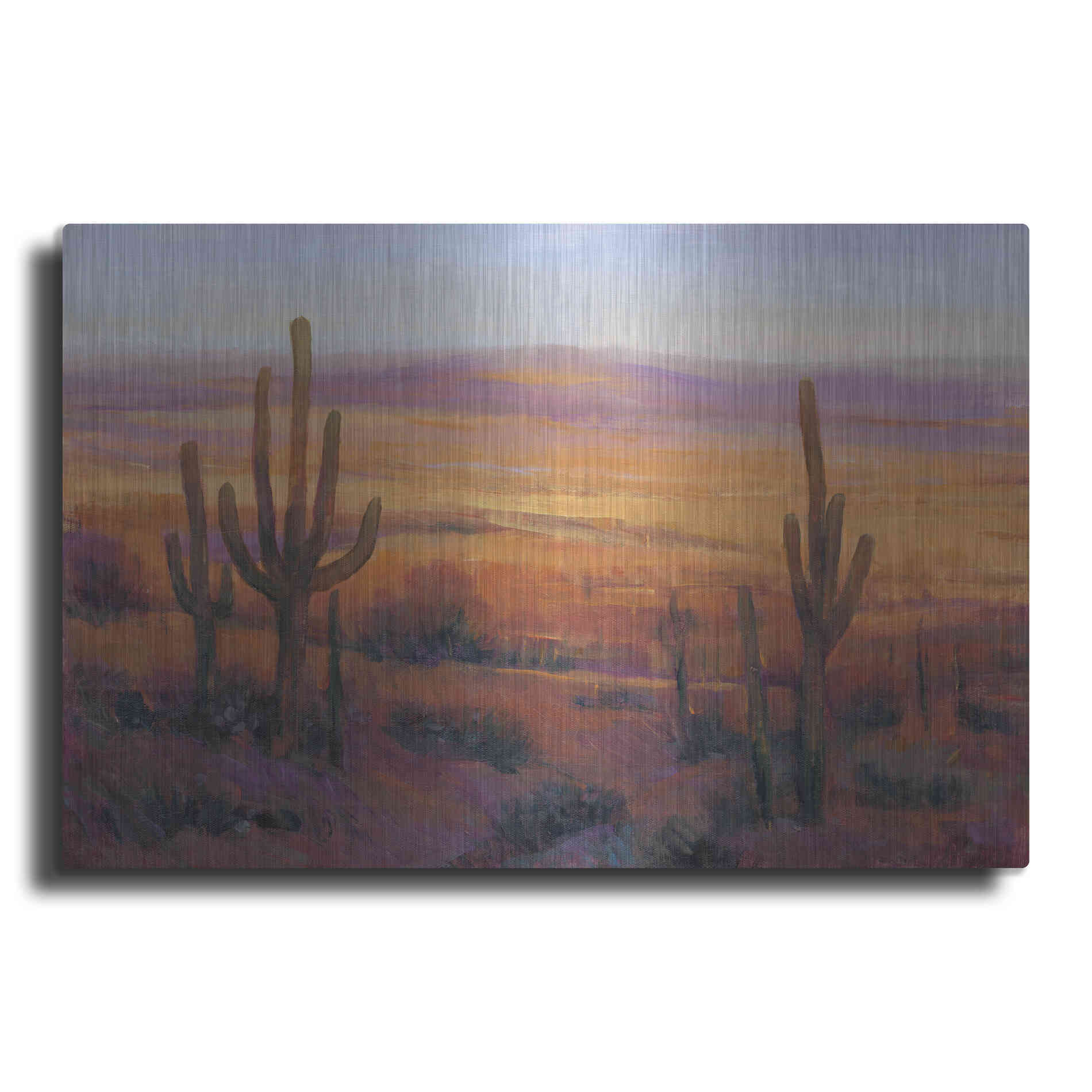 Luxe Metal Art 'Desert Light II' by Tim O'Toole, Metal Wall Art