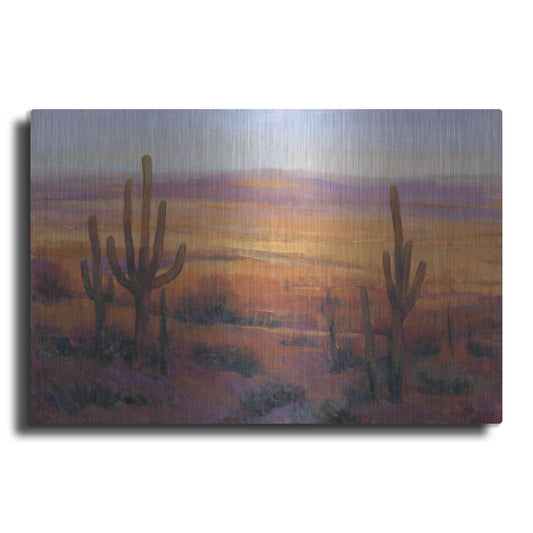 Luxe Metal Art 'Desert Light II' by Tim O'Toole, Metal Wall Art