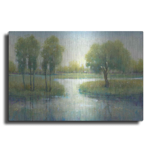 Luxe Metal Art 'Winding River I' by Tim O'Toole, Metal Wall Art