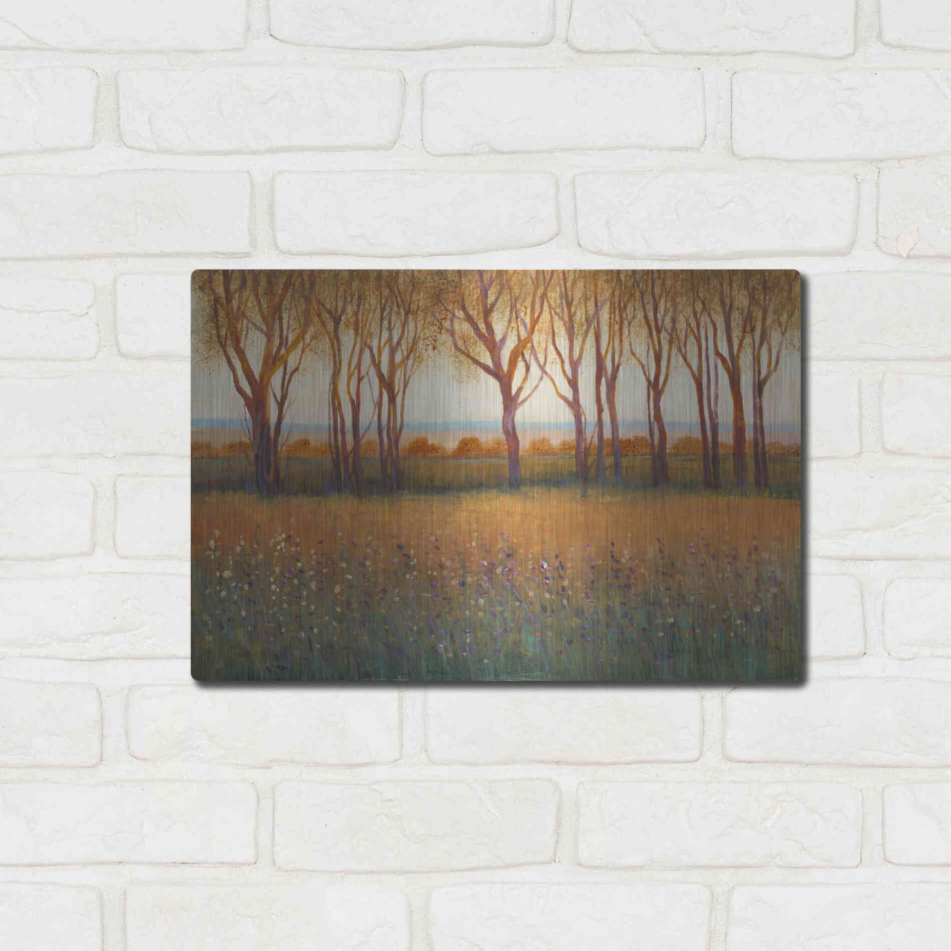 Luxe Metal Art 'Glow in the Afternoon I' by Tim O'Toole, Metal Wall Art,16x12