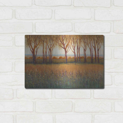Luxe Metal Art 'Glow in the Afternoon I' by Tim O'Toole, Metal Wall Art,16x12