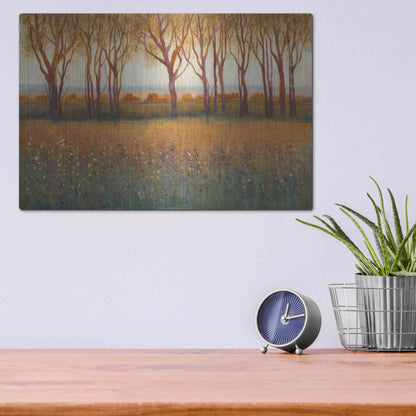 Luxe Metal Art 'Glow in the Afternoon I' by Tim O'Toole, Metal Wall Art,16x12