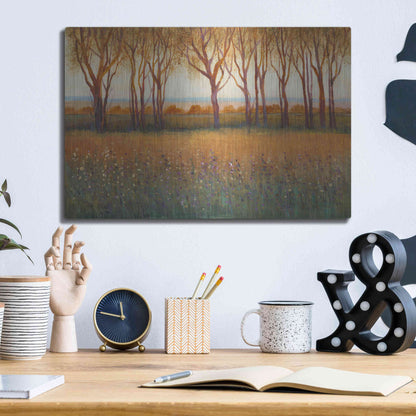 Luxe Metal Art 'Glow in the Afternoon I' by Tim O'Toole, Metal Wall Art,16x12