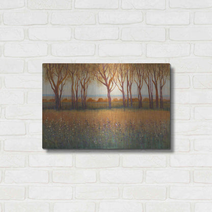 Luxe Metal Art 'Glow in the Afternoon I' by Tim O'Toole, Metal Wall Art,24x16