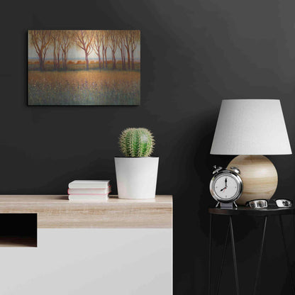 Luxe Metal Art 'Glow in the Afternoon I' by Tim O'Toole, Metal Wall Art,24x16