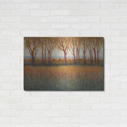 Luxe Metal Art 'Glow in the Afternoon I' by Tim O'Toole, Metal Wall Art,36x24