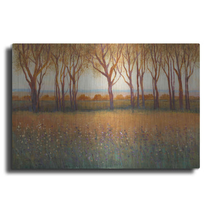 Luxe Metal Art 'Glow in the Afternoon I' by Tim O'Toole, Metal Wall Art