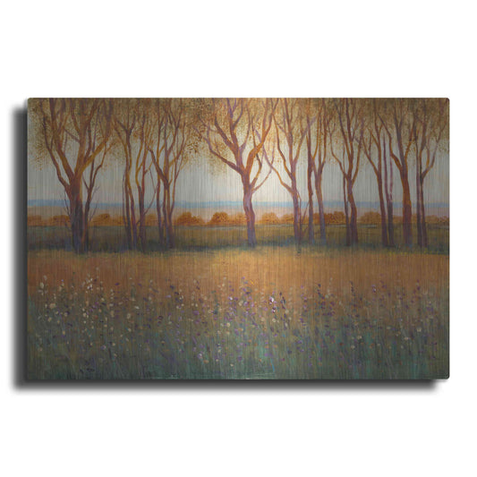 Luxe Metal Art 'Glow in the Afternoon I' by Tim O'Toole, Metal Wall Art