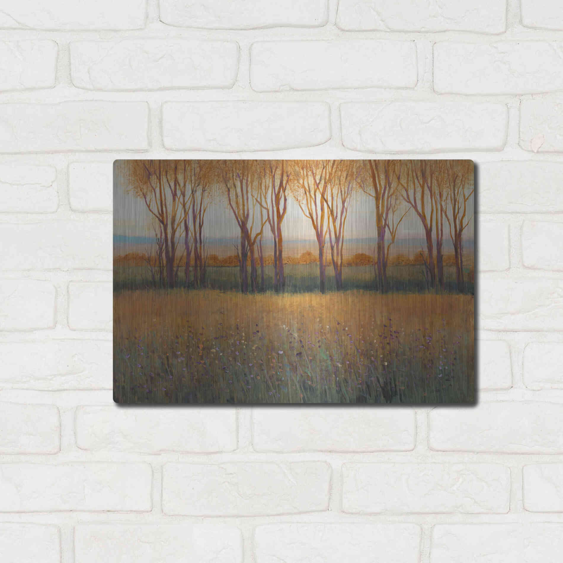 Luxe Metal Art 'Glow in the Afternoon II' by Tim O'Toole, Metal Wall Art,16x12
