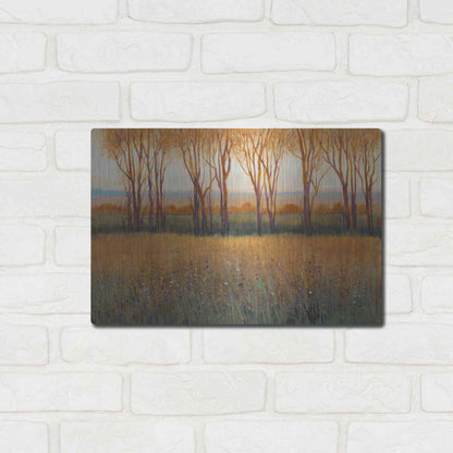 Luxe Metal Art 'Glow in the Afternoon II' by Tim O'Toole, Metal Wall Art,16x12