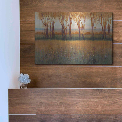 Luxe Metal Art 'Glow in the Afternoon II' by Tim O'Toole, Metal Wall Art,16x12
