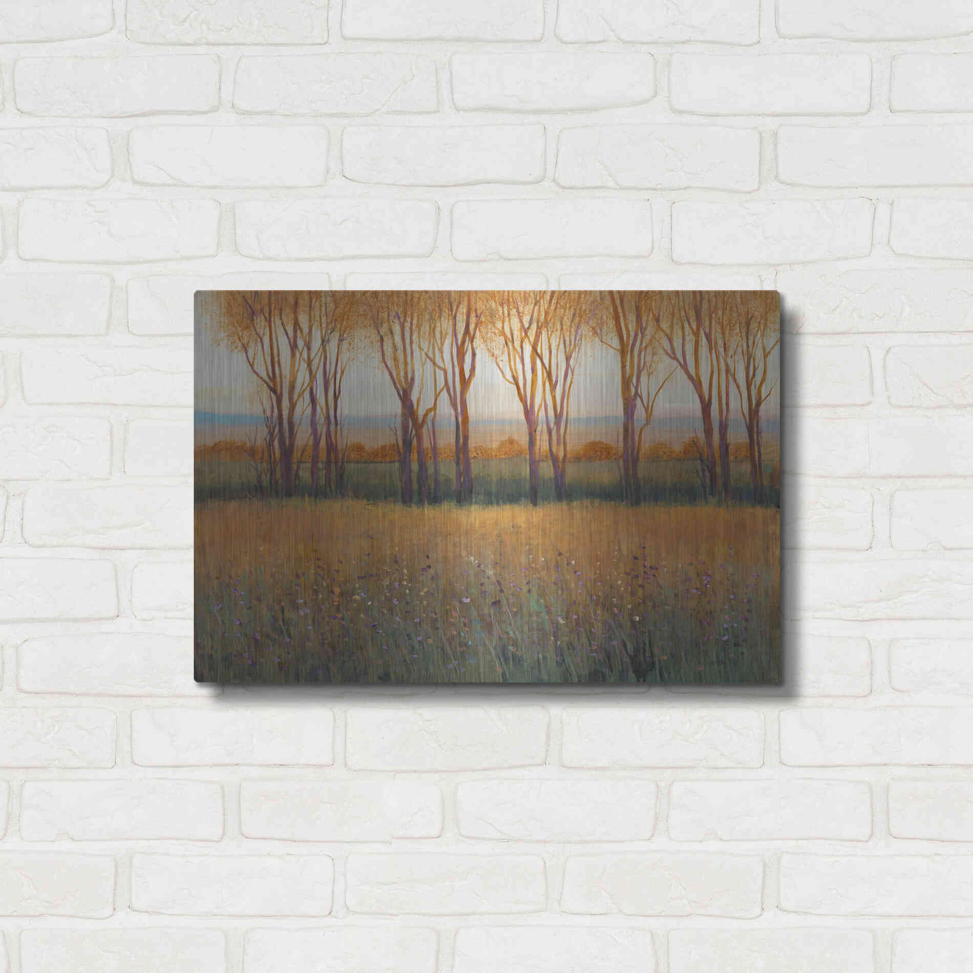 Luxe Metal Art 'Glow in the Afternoon II' by Tim O'Toole, Metal Wall Art,24x16