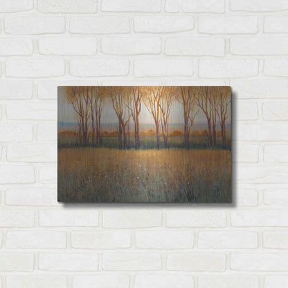 Luxe Metal Art 'Glow in the Afternoon II' by Tim O'Toole, Metal Wall Art,24x16