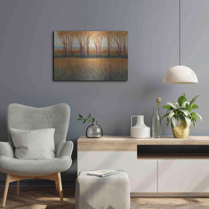 Luxe Metal Art 'Glow in the Afternoon II' by Tim O'Toole, Metal Wall Art,24x16