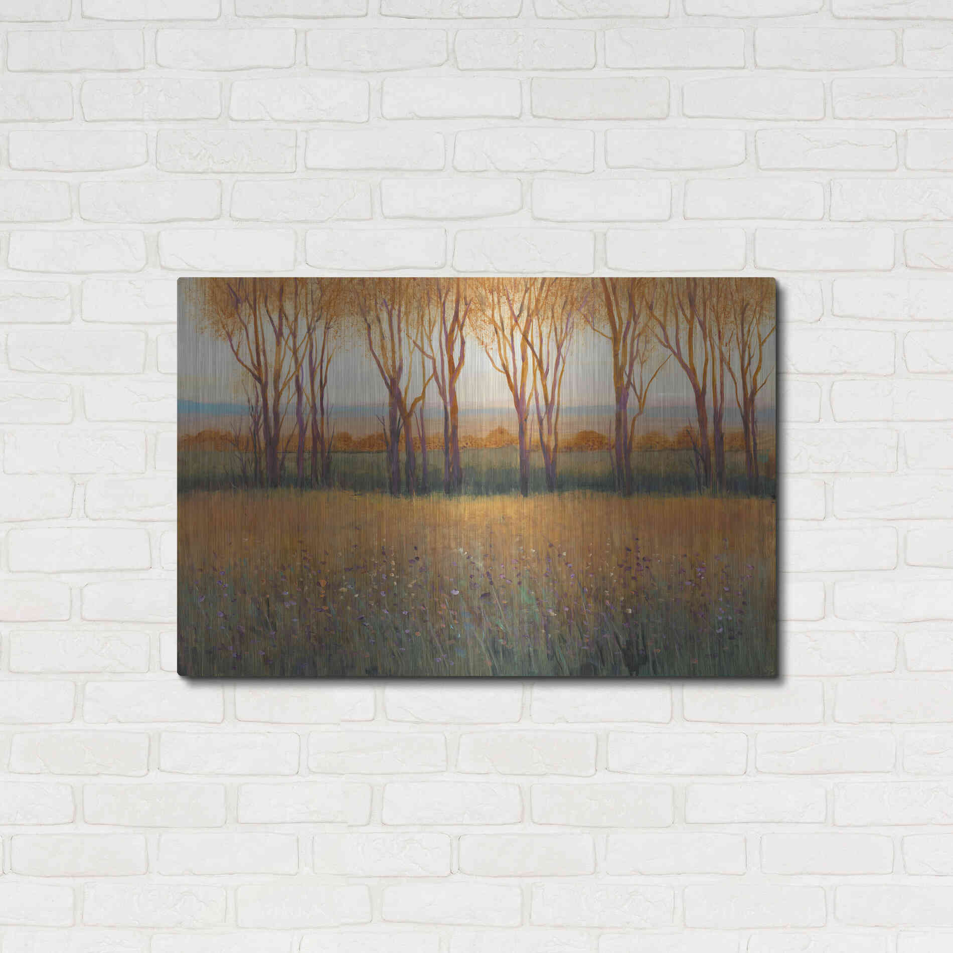 Luxe Metal Art 'Glow in the Afternoon II' by Tim O'Toole, Metal Wall Art,36x24