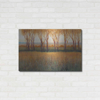 Luxe Metal Art 'Glow in the Afternoon II' by Tim O'Toole, Metal Wall Art,36x24