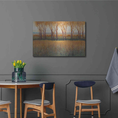 Luxe Metal Art 'Glow in the Afternoon II' by Tim O'Toole, Metal Wall Art,36x24