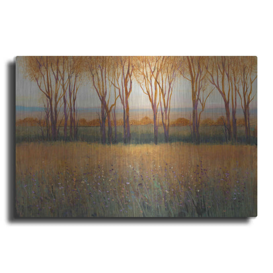 Luxe Metal Art 'Glow in the Afternoon II' by Tim O'Toole, Metal Wall Art