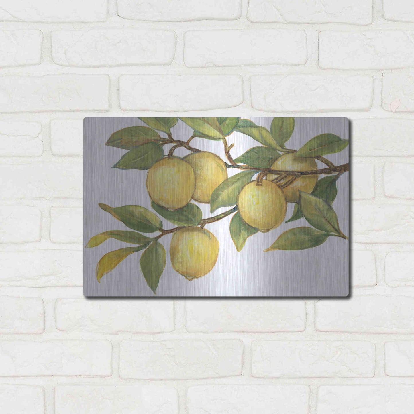 Luxe Metal Art 'Ripe for Picking I' by Tim O'Toole, Metal Wall Art,16x12