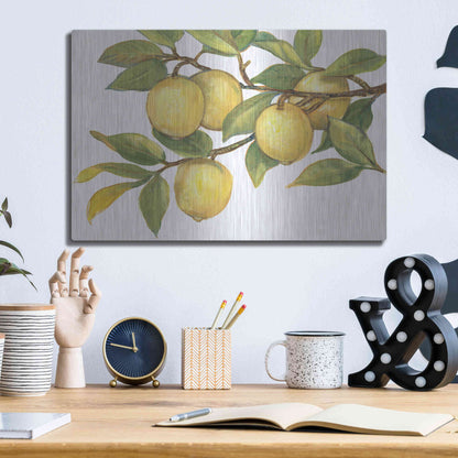 Luxe Metal Art 'Ripe for Picking I' by Tim O'Toole, Metal Wall Art,16x12